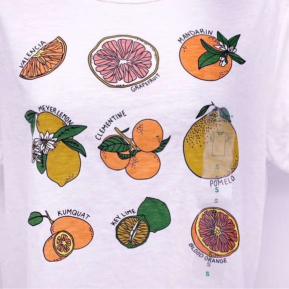 NEW Dip Women’s Basic Short Sleeve Fruit Graphic T-Shirt Size Small - Picture 4 of 10